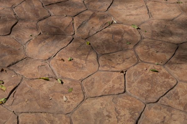 Cost of Concrete Texturing in Clovis